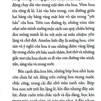 Sách - Tác Phẩm Chọn Lọc - Văn Học Đức - Huệ Tím (Tái Bản 2022)
