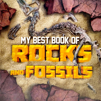 My Best Book Of Rocks And Fossils