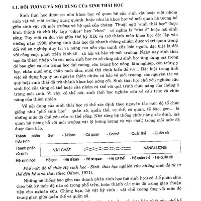 Sinh thái học côn trùng