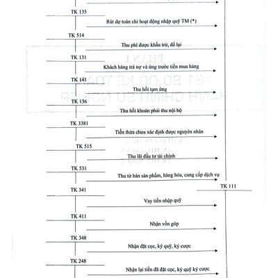Hướng Dẫn Thực Hành 161 Sơ Đồ Kế Toán Hành Chính, Sự Nghiệp (KT)