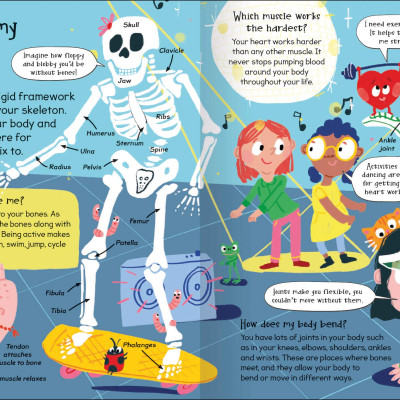 Curious Questions & Answers About My Body