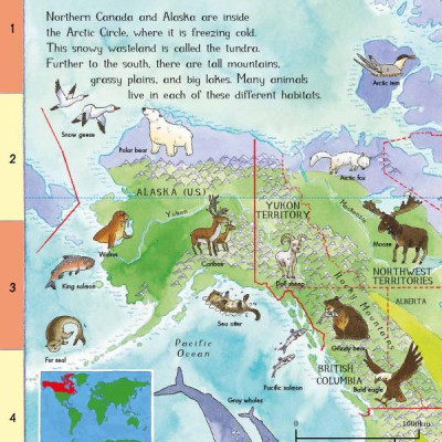 First Animal Picture Atlas