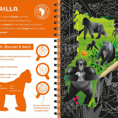 Animals (Scratch Discover & Learn)