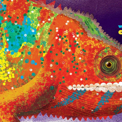 Feathers And Hair, What Animals Wear