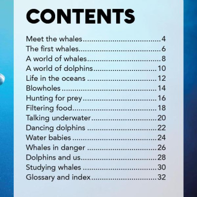 My Best Book Of Whales And Dolphins
