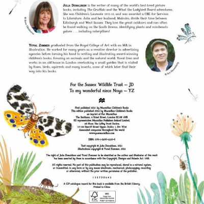 The Woolly Bear Caterpillar