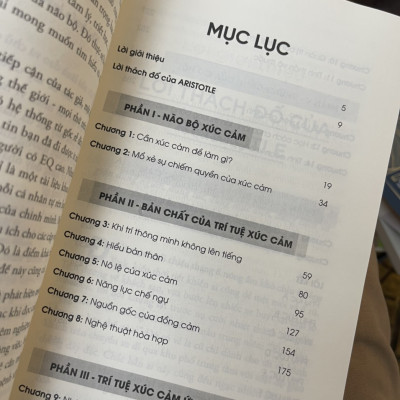 (The #1 Bestseller)  TRÍ TUỆ XÚC CẢM  - Lý giải tại sao người kém thông minh lại thành công hơn những người thông minh - Daniel Goleman - Nguyễn Lê Phương & Phạm Thị Thu Hà dịch - Alphabooks -Nhà Xuất Bản Công Thương