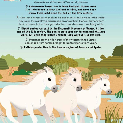 Lists For Curious Kids: Animals: 206 Fun, Fascinating And Fact-Filled Lists