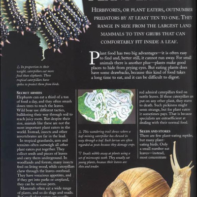 The Kingfisher Nature Encyclopedia