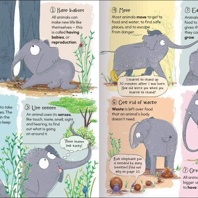 Curious Questions & Answers About Animals