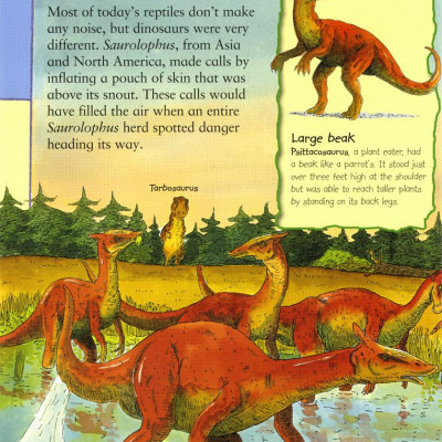First Dinosaur Picture Atlas