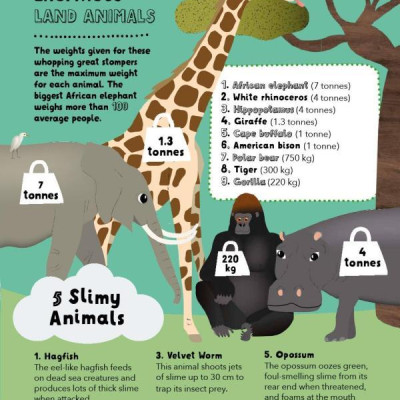 Lists For Curious Kids: 263 Fun, Fascinating And Fact-Filled Lists (Curious Lists)