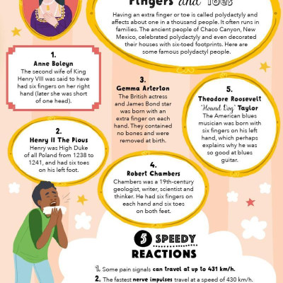 Lists For Curious Kids: Human Body: 205 Fun, Fascinating And Fact-Filled Lists