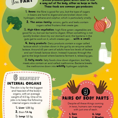 Lists For Curious Kids: Human Body: 205 Fun, Fascinating And Fact-Filled Lists