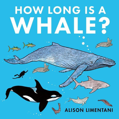 How Long Is A Whale?