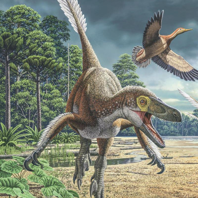 1,000 Facts About Dinosaurs, Fossils, And Prehistoric Life