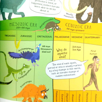 A Curious Library Of Questions And Answers