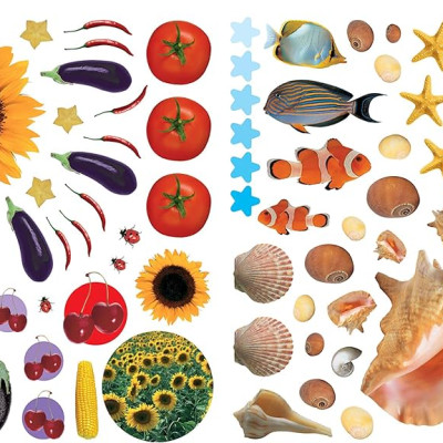 Eyelike Stickers: Seasons