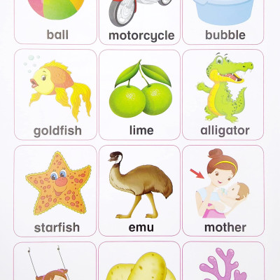 1000 Words & Pictures For Juniors