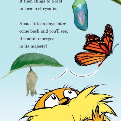 Hug A Bug: How YOU Can Help Protect Insects (Dr. Seuss