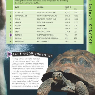 Top 10 of Everything 2018