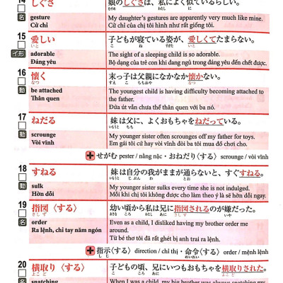 3000 Từ Vựng Cần Thiết Cho Kỳ Thi Năng Lực Nhật Ngữ N1