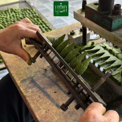 Nhang Nụ Thảo Mộc Mix Quế Khuynh Diệp Hương Bài Sạch Ít Khói Hộp 40 Nụ Yên Tự Nhiên Không Hóa Chất