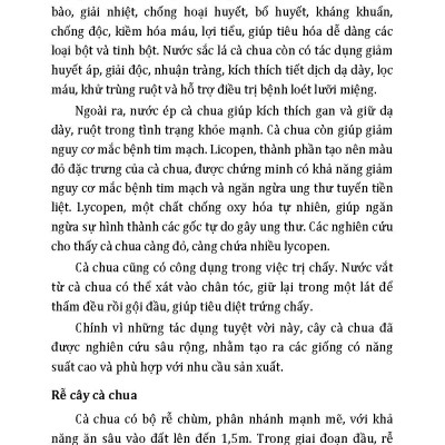 Nông Nghiệp Xanh Và Sạch - Trồng Cà Chua Sạch Quanh Năm