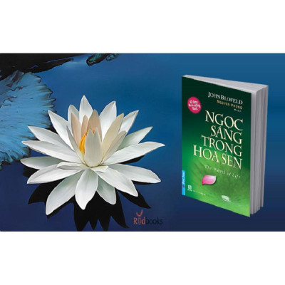 Sách Ngọc Sáng Trong Hoa Sen - Nguyên Phong - First News