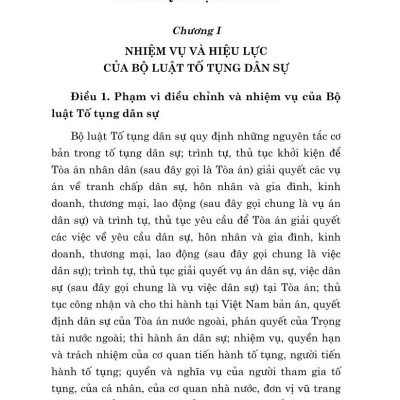 Bộ luật tố tụng dân sự ( bản in 2024)