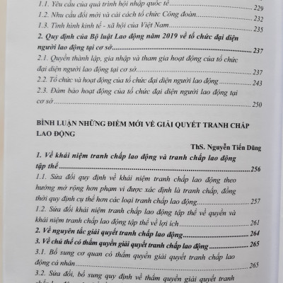 Bình Luận Những Điểm Mới  Của Bộ Luật Lao Động Năm 2019