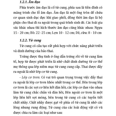 Nông Nghiệp Xanh Và Sạch - Sinh Sản Trong Chăn Nuôi