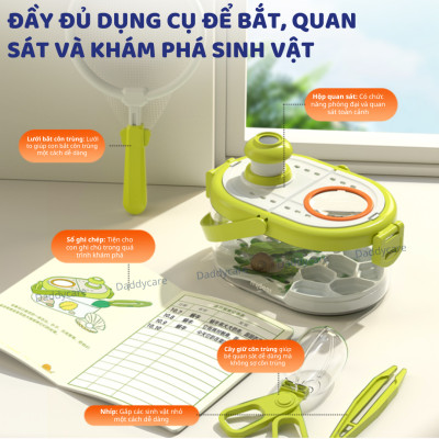 Hộp nuôi quan sát côn trùng Mideer insect box