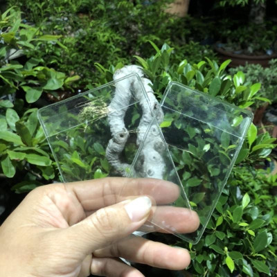 VỎ BỌC THẺ ATM, THẺ SINH VIÊN, THẺ CĂN CƯỚC, BẰNG LÁI XE, BHYT Nhựa PvC Siêu Trong Suốt, Siêu Dẻo Có Nắp...