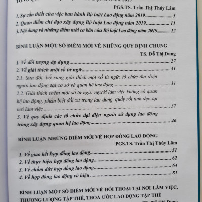 Bình Luận Những Điểm Mới  Của Bộ Luật Lao Động Năm 2019