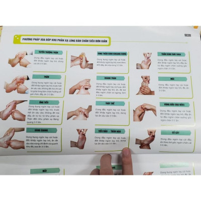 Sách - Liệu pháp chữa bệnh - Khu phản xạ