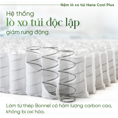 Nệm lò xo túi  cao cấp Hana Cool Plus Tatana, Thiết kế sang trọng, khung lò xo vững chắc, êm ái độ đàn hồi cao - Độ dày 30cm