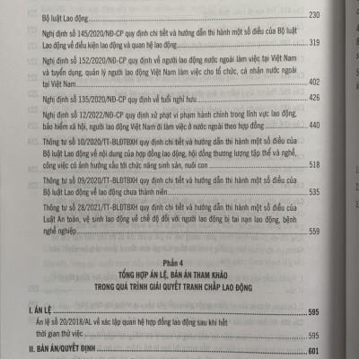 500 Câu Hỏi Và Tình Huống Giải Quyết Các Vướng Mắc, Tranh Chấp Lao Động Theo Bộ Luật Lao Động Năm 2019