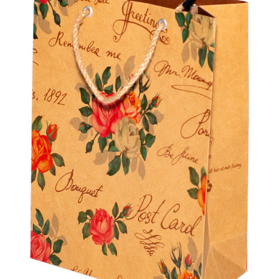 TÚI KRAFT KN205 - 27 X 19 X9 CM - NGẪU NHIÊN