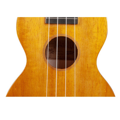 1    Ukulele Concert Mahalo MH2vna