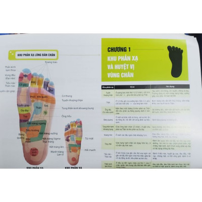 Sách - Liệu pháp chữa bệnh - Khu phản xạ