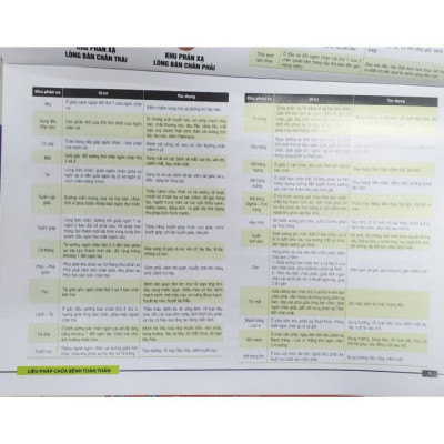 Sách - Liệu pháp chữa bệnh - Khu phản xạ