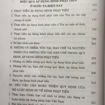 Hình Phạt Tiền Trong Pháp Luật Hình Sự Việt Nam Và Thực Tiễn Áp Dụng (Sách Chuyên Khảo)