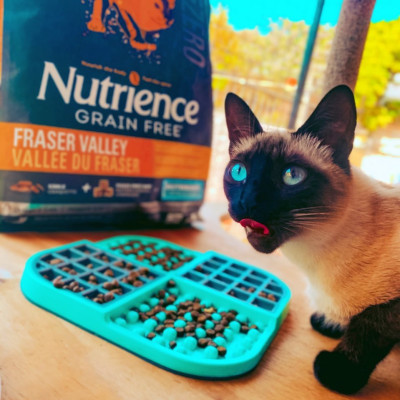 Thức Ăn Hạt Cho Mèo Nutrience Subzero Bao 500g & 2.27kg Vị Gà Tây Và 6 Loại Cá Biển Trái Cây Rau Củ Quả