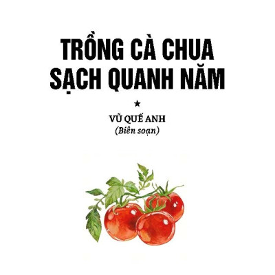 Nông Nghiệp Xanh Và Sạch - Trồng Cà Chua Sạch Quanh Năm