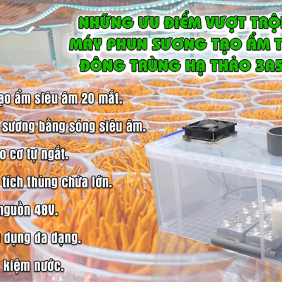 Máy phun sương tạo ẩm trồng đông trùng hạ thảo 3A510W - Hàng Chính Hãng