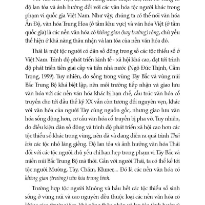 Văn Hóa Vùng Và Phân Vùng Văn Hóa Việt Nam (Tái bản 2025)