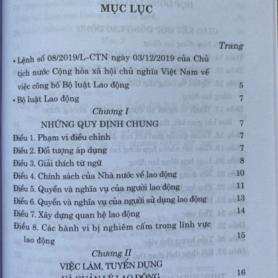 Bộ Luật Lao Động ( Hiện hành )