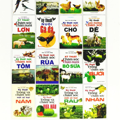 Bạn Của Nhà Nông - Kỹ Thuật Nuôi Và Chăm Sóc Chó