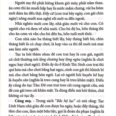 Việt Nam Phong Tục